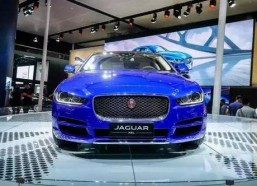 国产特一级,匠心独运，品质卓越的国产之光